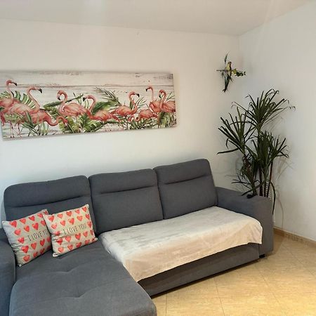 Apartamento Parrot'S House Lloret de Mar Exterior foto