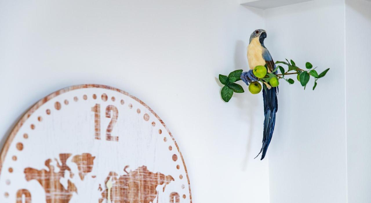 Apartamento Parrot'S House Lloret de Mar Exterior foto